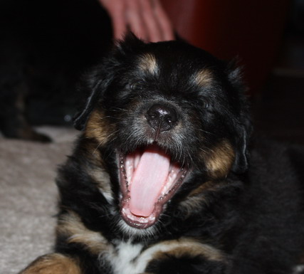 7.WocheJWurf0 7.WocheJWurf0