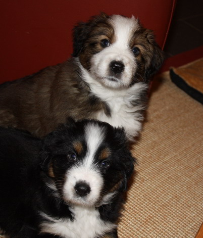 7.WocheJWurf1 7.WocheJWurf1