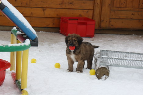 7.WocheJWurf10 7.WocheJWurf10