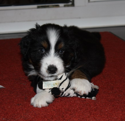 7.WocheJWurf2 7.WocheJWurf2