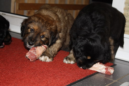 7.WocheJWurf3 7.WocheJWurf3