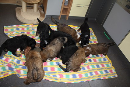 7.WocheJWurf4 7.WocheJWurf4