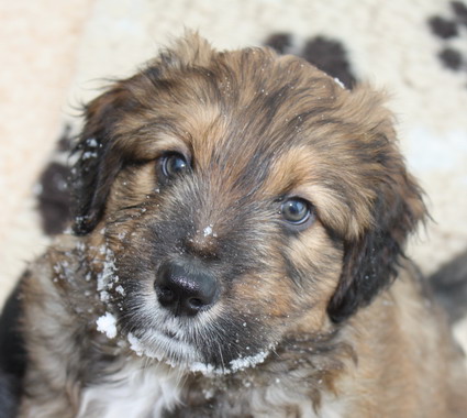 7.WocheJWurf5 7.WocheJWurf5