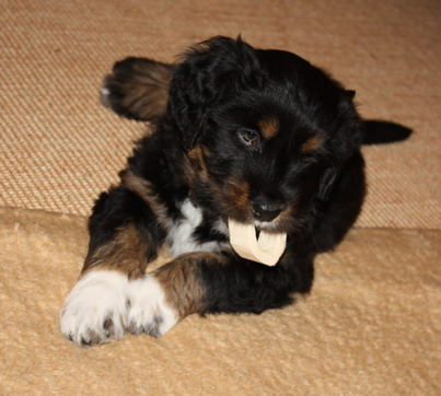 7.WocheJWurf6 7.WocheJWurf6