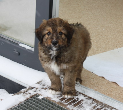 7.WocheJWurf7 7.WocheJWurf7