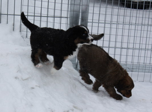 7.WocheJWurf9 7.WocheJWurf9