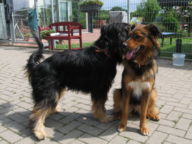 FamilientreffenK-Wurf0