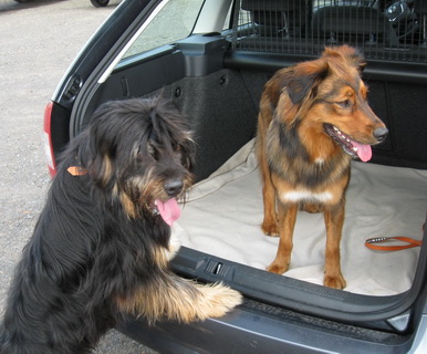 FamilientreffenK-Wurf1