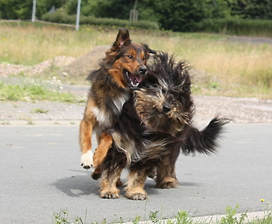 FamilientreffenK-Wurf10