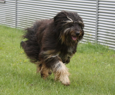 FamilientreffenK-Wurf11