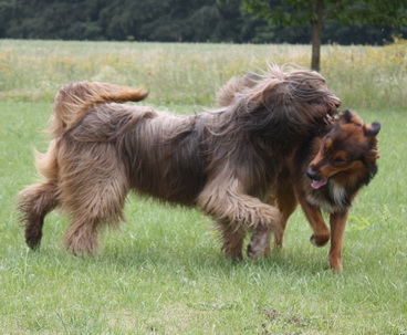 FamilientreffenK-Wurf12