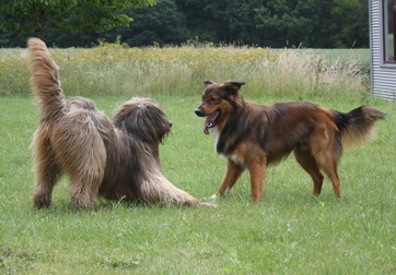 FamilientreffenK-Wurf13