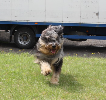 FamilientreffenK-Wurf14