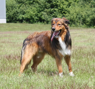 FamilientreffenK-Wurf15