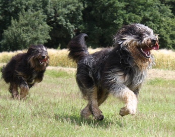 FamilientreffenK-Wurf16