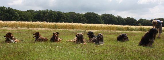 FamilientreffenK-Wurf18