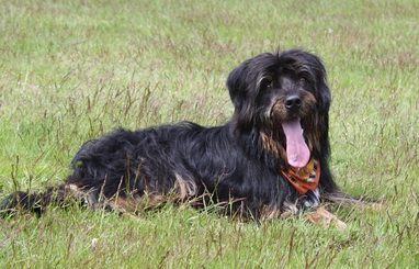 FamilientreffenK-Wurf19