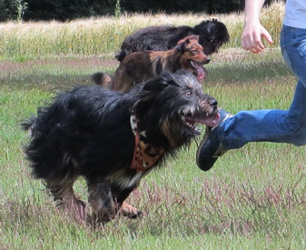 FamilientreffenK-Wurf2