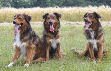 FamilientreffenK-Wurf20