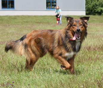 FamilientreffenK-Wurf24