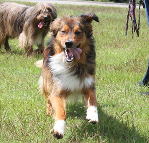 FamilientreffenK-Wurf26