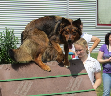 FamilientreffenK-Wurf5