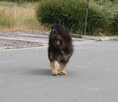 FamilientreffenK-Wurf6