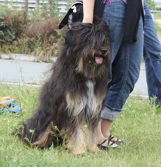 FamilientreffenK-Wurf8