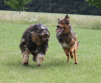 FamilientreffenK-Wurf9