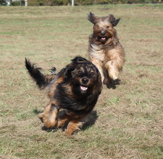 FamilientreffenMWurf1