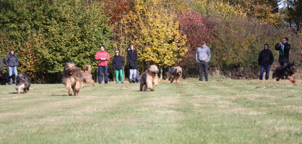 FamilientreffenMWurf12