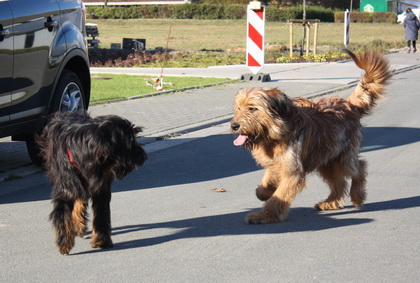 FamilientreffenMWurf19