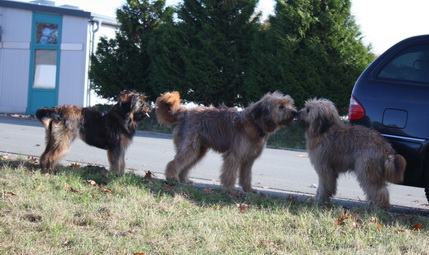 FamilientreffenMWurf2