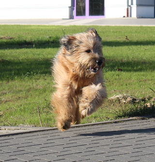 FamilientreffenMWurf20