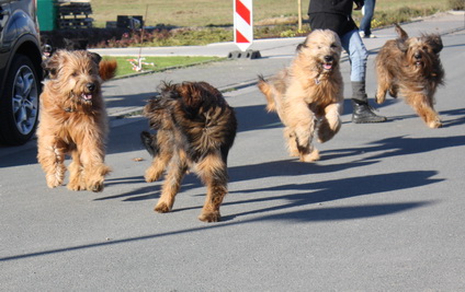 FamilientreffenMWurf21