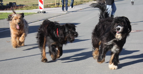 FamilientreffenMWurf22