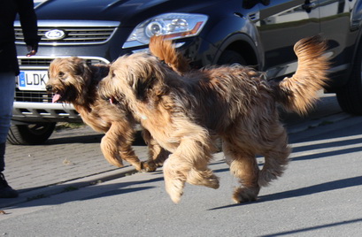 FamilientreffenMWurf25