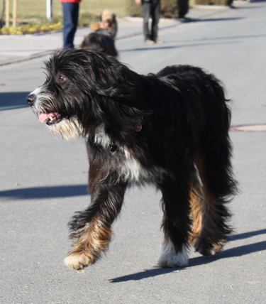 FamilientreffenMWurf27