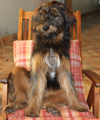 FamilientreffenMWurf28