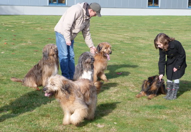 FamilientreffenMWurf30