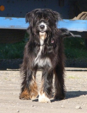 FamilientreffenMWurf32