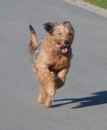 FamilientreffenMWurf33