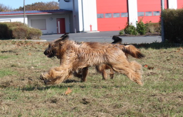 FamilientreffenMWurf4