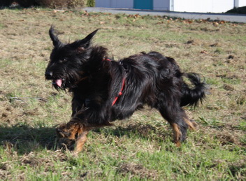 FamilientreffenMWurf5