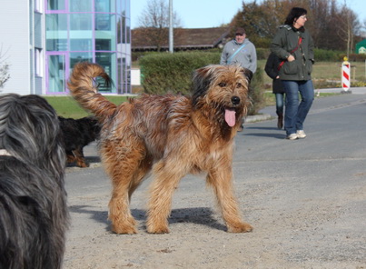 FamilientreffenMWurf6