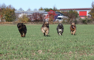 FamilientreffenMWurf7