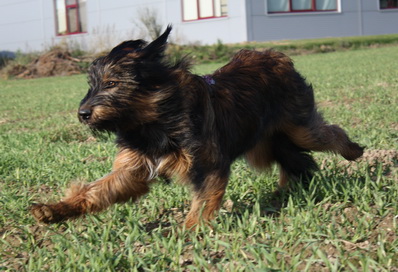 FamilientreffenMWurf8