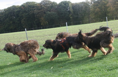 FamilientreffenTWurf0