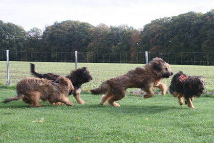 FamilientreffenTWurf1