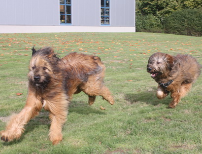 FamilientreffenTWurf10